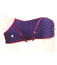 Mantas (Modelo de Foto Acolchada)